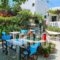 Eleni Rooms_lowest prices_in_Hotel_Cyclades Islands_Paros_Paros Chora