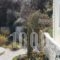 Villa Maro_best prices_in_Villa_Ionian Islands_Corfu_Aghios Stefanos