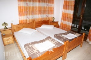 Schmidt_holidays_in_Room_Crete_Chania_Chania City