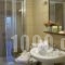 Zaggos Apartments_best deals_Room_Central Greece_Fokida_Polidrosos