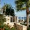 Pelagos Holidays Apartments_best deals_Apartment_Crete_Chania_Agia Marina