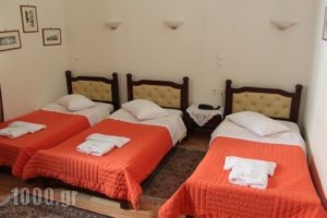 Hotel Panellinion_best prices_in_Hotel_Thessaly_Trikala_Trikala City