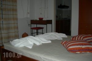 Markouli Studios_lowest prices_in_Apartment_Cyclades Islands_Donousa_Donousa Chora