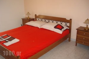 Christos Studios_lowest prices_in_Room_Ionian Islands_Kefalonia_Kefalonia'st Areas