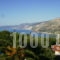 Christos Studios_best prices_in_Room_Ionian Islands_Kefalonia_Kefalonia'st Areas