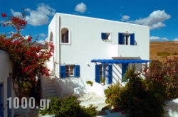 Christina Studios in Piso Livadi, Paros, Cyclades Islands