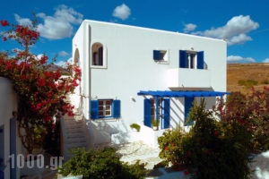 Christina Studios_accommodation_in_Apartment_Cyclades Islands_Paros_Piso Livadi