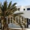 Lolantonis Rooms_lowest prices_in_Room_Cyclades Islands_Paros_Paros Chora