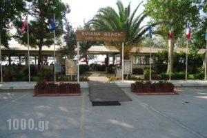 Eviana Beach ex Perigiali_holidays_in_Hotel_Central Greece_Evia_Eretria