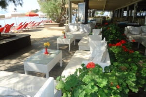 Eviana Beach ex Perigiali_accommodation_in_Hotel_Central Greece_Evia_Eretria