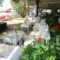 Eviana Beach ex Perigiali_accommodation_in_Hotel_Central Greece_Evia_Eretria