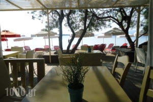 Eviana Beach ex Perigiali_travel_packages_in_Central Greece_Evia_Eretria