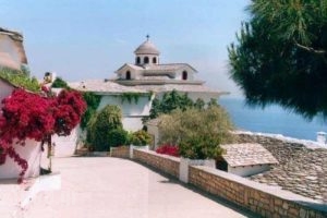 Sirines Studios & Apartments_accommodation_in_Apartment_Ionian Islands_Kefalonia_Kefalonia'st Areas