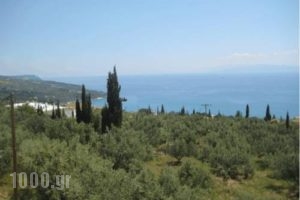 Eleni Studios_travel_packages_in_Ionian Islands_Kefalonia_Lourdata