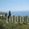 Eleni Studios_travel_packages_in_Ionian Islands_Kefalonia_Lourdata