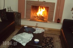 Araliides_accommodation_in_Hotel_Thessaly_Magnesia_Mouresi