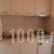 Haus Maria_best deals_Apartment_Macedonia_Halkidiki_Nea Moudania