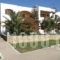 Saint Nicolas Bungalows_best prices_in_Hotel_Dodekanessos Islands_Karpathos_Karpathos Chora