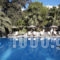 Arvanitis Studios_best deals_Room_Cyclades Islands_Sandorini_Sandorini Chora