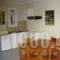 Louisa Apartments_best prices_in_Apartment_Ionian Islands_Kefalonia_Poros