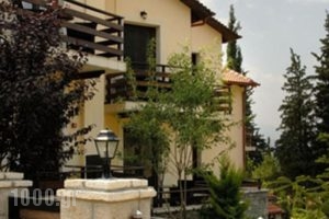 Dryas Guesthouse_travel_packages_in_Central Greece_Fokida_Polidrosos