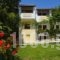 Irene_accommodation_in_Apartment_Ionian Islands_Corfu_Acharavi