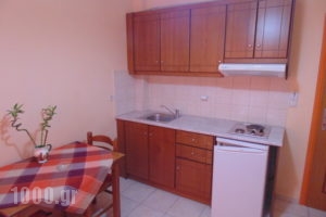 Bayside Apartments_accommodation_in_Apartment_Ionian Islands_Lefkada_Vasiliki