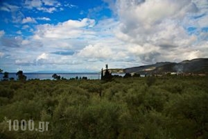 Kardamili Villas_travel_packages_in_Peloponesse_Messinia_Kardamyli