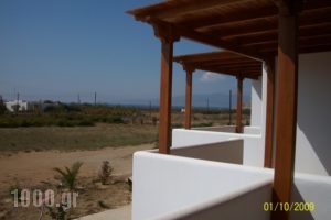 Joanna's Apartments_best prices_in_Apartment_Cyclades Islands_Naxos_Naxos Chora