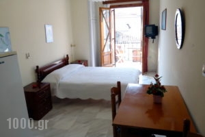 Louiza Apartments_best deals_Apartment_Central Greece_Fokida_Galaxidi