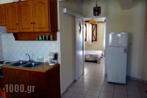 Louiza Apartments_best prices_in_Apartment_Central Greece_Fokida_Galaxidi