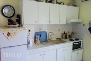 Iris Apartments_holidays_in_Apartment_Macedonia_Halkidiki_Fourka