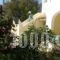 Antigoni'S Apartments_travel_packages_in_Ionian Islands_Corfu_Corfu Rest Areas