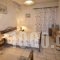 Pighi Sariza_lowest prices_in_Hotel_Cyclades Islands_Andros_Apikia