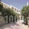 Pighi Sariza_accommodation_in_Hotel_Cyclades Islands_Andros_Apikia