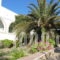 Flora_best prices_in_Hotel_Cyclades Islands_Paros_Paros Chora
