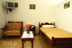 Irene Hotel_best prices_in_Hotel_Dodekanessos Islands_Leros_Leros Chora