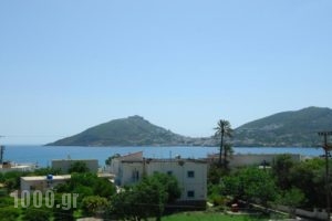 Irene Hotel_holidays_in_Hotel_Dodekanessos Islands_Leros_Leros Chora