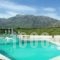 Vantaris Garden_travel_packages_in_Crete_Chania_Sfakia