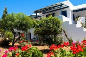 Maroussa Studios_accommodation_in_Hotel_Cyclades Islands_Naxos_Naxos chora