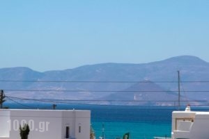 Maroussa Studios_holidays_in_Hotel_Cyclades Islands_Naxos_Naxos chora