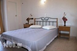 Willy’s Rooms & Apartments in Syros Rest Areas, Syros, Cyclades Islands