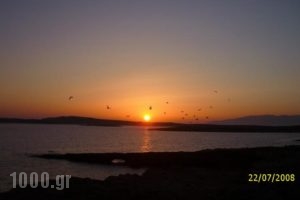 Vounali Rooms_travel_packages_in_Cyclades Islands_Paros_Paros Chora