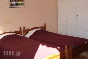 Zephyros_best prices_in_Hotel_Peloponesse_Arcadia_Stemnitsa