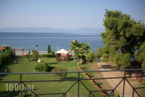 Studios Maria Gini_accommodation_in_Apartment_Central Greece_Evia_Istiea