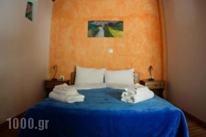 Guesthouse Zatouna_best prices_in_Hotel_Peloponesse_Ilia_Andritsena