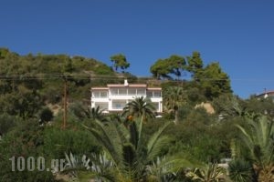 Dias Apartments_accommodation_in_Apartment_Macedonia_Halkidiki_Mola Kalyva