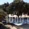 Isalos_holidays_in_Apartment_Cyclades Islands_Naxos_Mikri Vigla