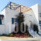 Isalos_best prices_in_Apartment_Cyclades Islands_Naxos_Mikri Vigla