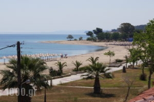 Vergina_holidays_in_Hotel_Macedonia_Halkidiki_Nea Potidea